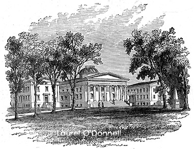 Sailor's Snug Harbor