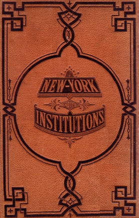 New York and Its Institutions