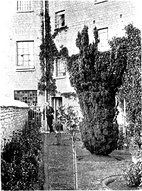 A Corner in the Women's Garden