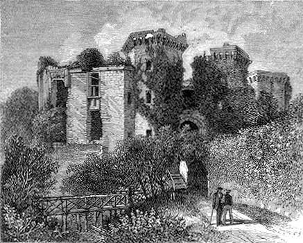 In The Moat, Raglan Castle